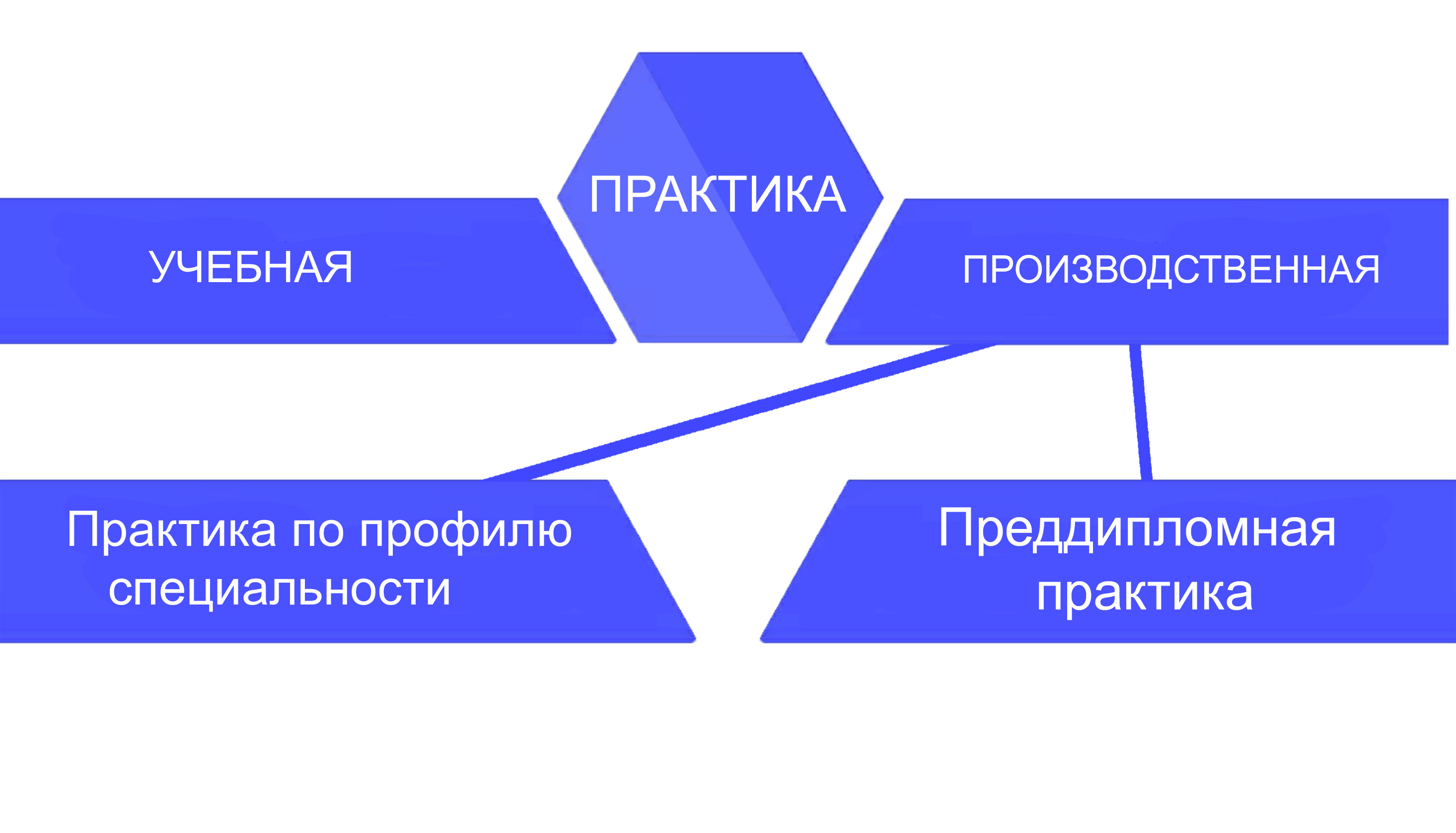 Профессиональная практика является